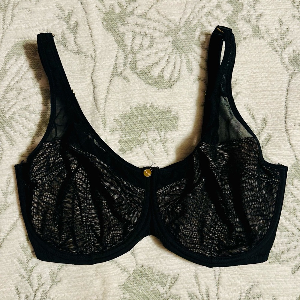 Sheer Black Underwire Bra with Mesh Cups